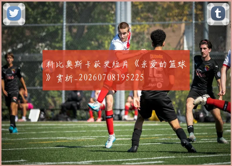 科比奥斯卡获奖短片《亲爱的篮球》赏析_20260708195225